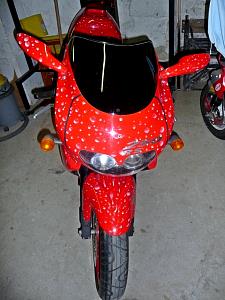 ApriliaFrontJPG.JPG