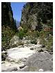 Samaria2003Trevor00091.JPG